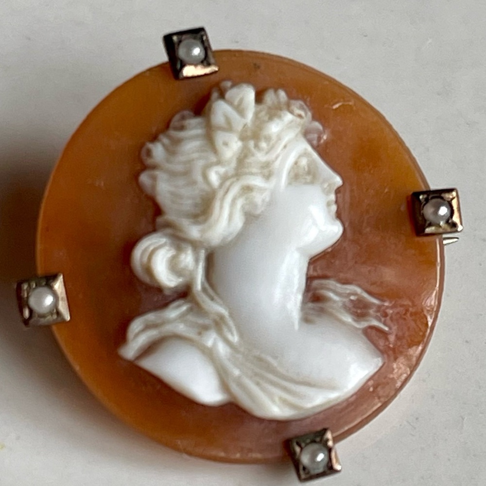 Victorian Shell Carved Cameo t-bar c-clasp Brooch Seed Pearls